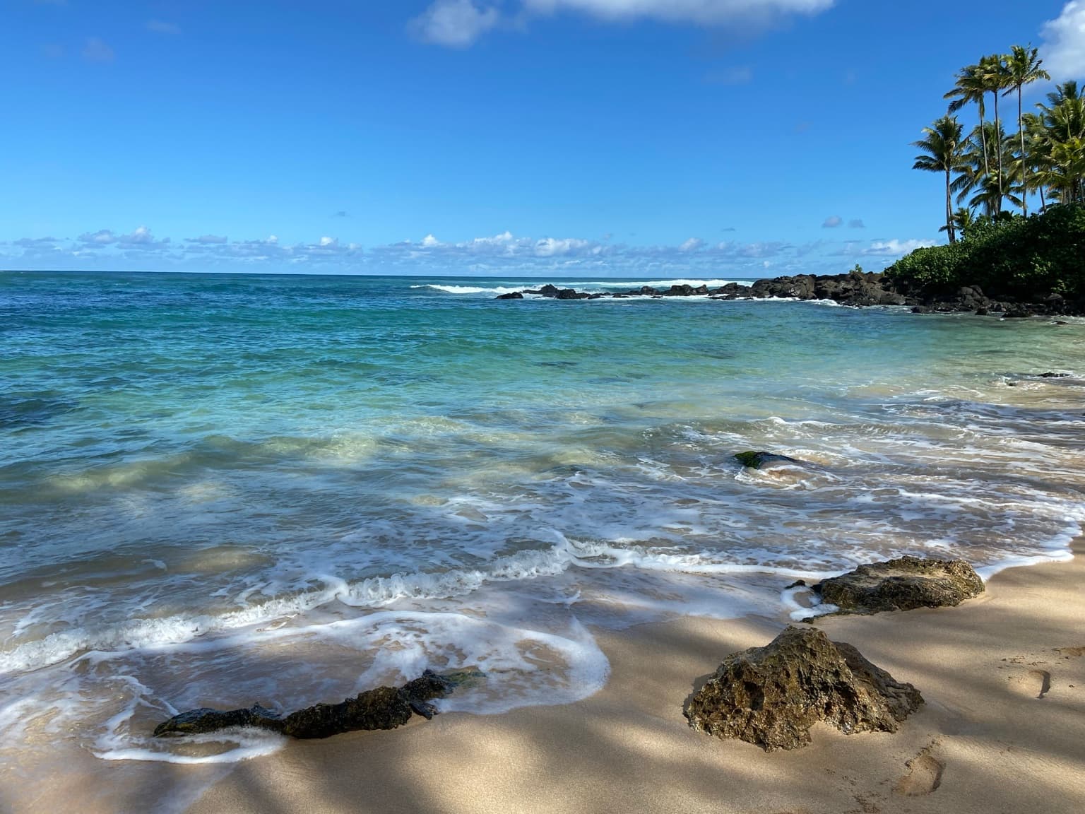 Palm trees and calm turquoise water at a Hawaii beach in soft morning light